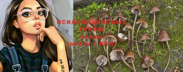 дмт Алексин