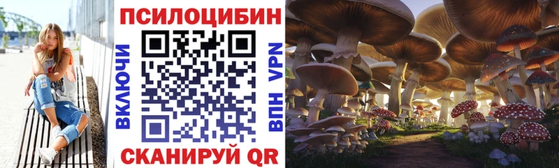 Псилоцибиновые грибы MAGIC MUSHROOMS  Артём 